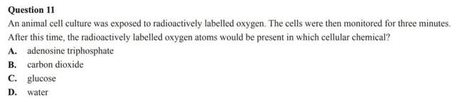 本周五就考的VCE生物，你们都准备好了吗？