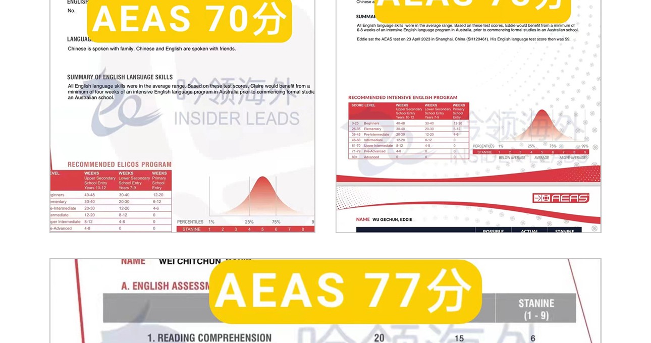 AEAS-3_17.jpg