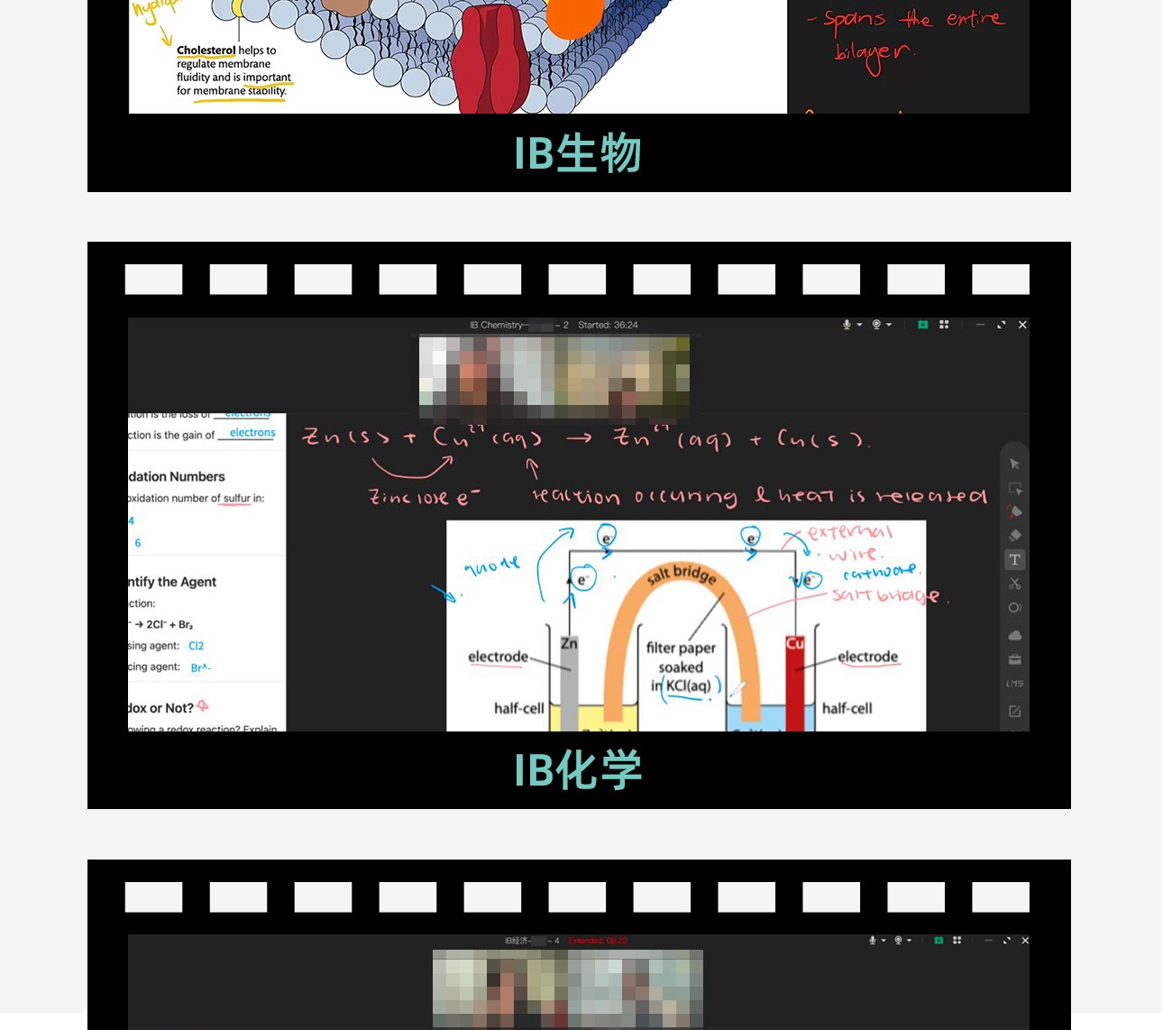 IB全科辅导-2_08.jpg
